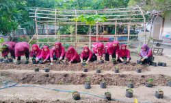 WhatsApp Image 2026-01-06 at 11.12.54